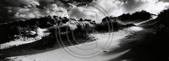 Holkham Dunes 2