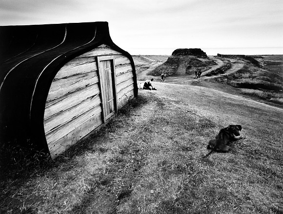Castle Point Lindisfane      364