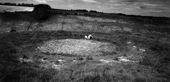 Dewpond above Twixendale  402