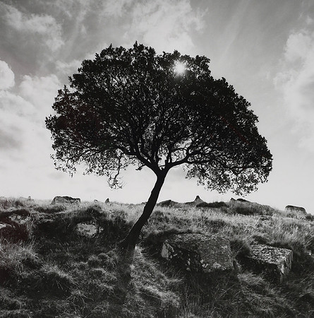 Easteren Tor Dartmoor   325