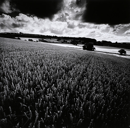 Brailes Hill