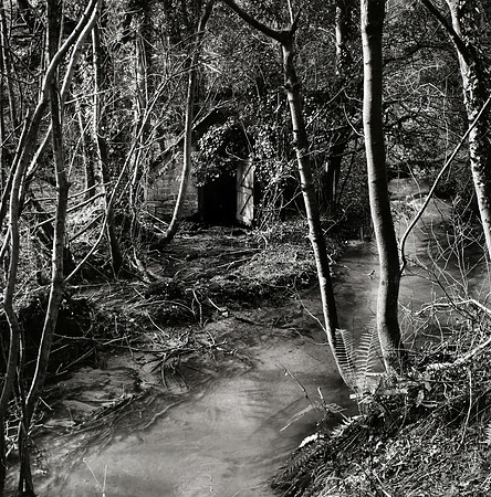 River Glyme,Lidstone