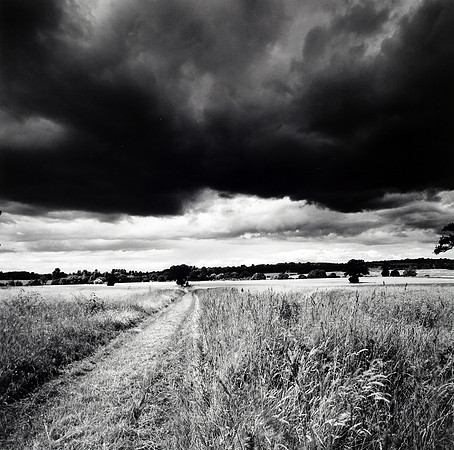 Setting Forth