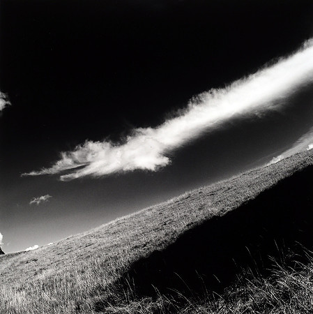 The Lonely Dragon,Blenheim Park