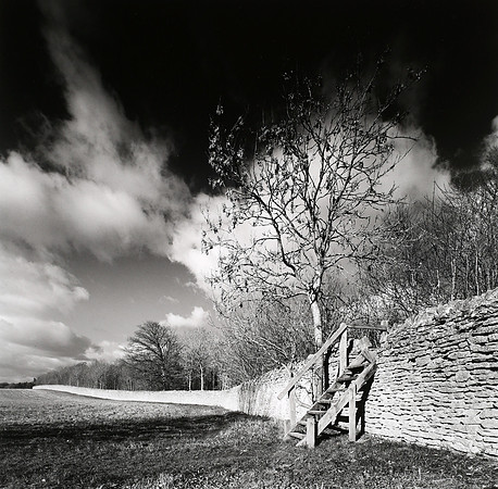 Stonefield steps,Blenheim Estate