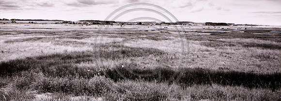 Deepdale Marsh 2