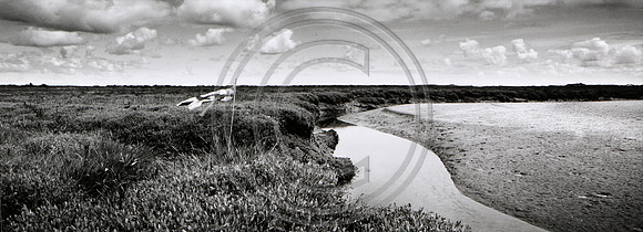 Deepdale Marsh 3
