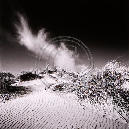 Sand Dunes 1 Wells