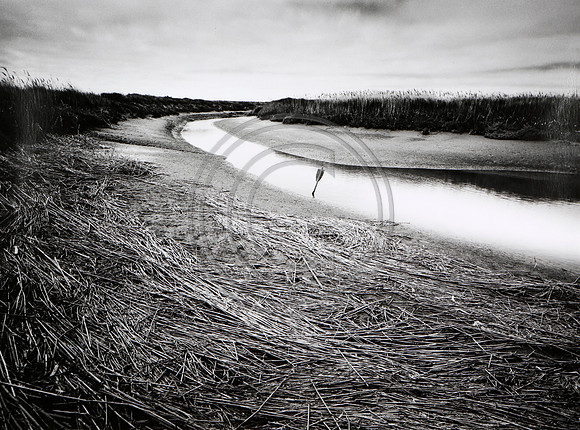 Titchwell Marsh