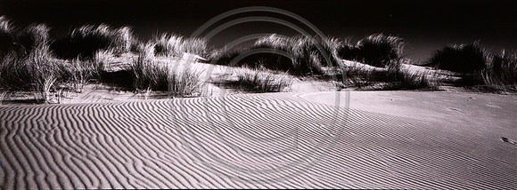 Sand Dunes Morston