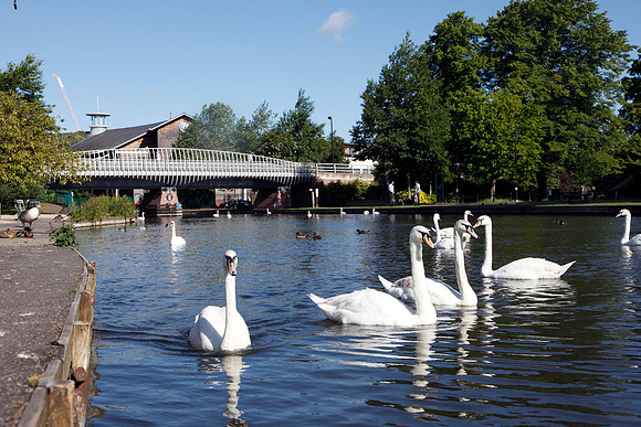 newbury0140