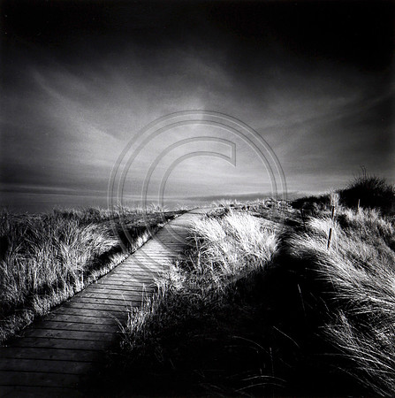 Holme Dunes 2