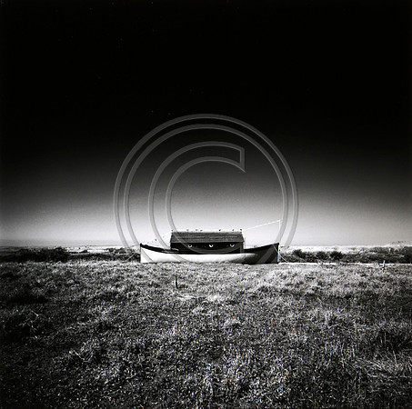 The Ark,Morston